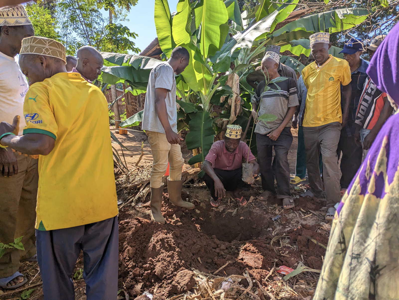 Kwamasimba: Integrating Trees into Everyday Farming